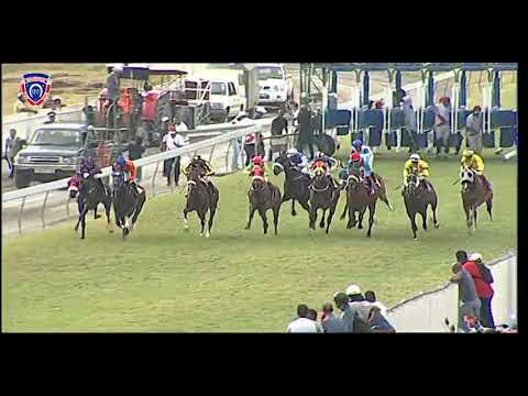 RM33 R6 | Gunston | M.Nunes