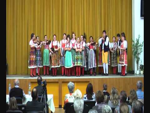 Meteláček - Vlaštovička