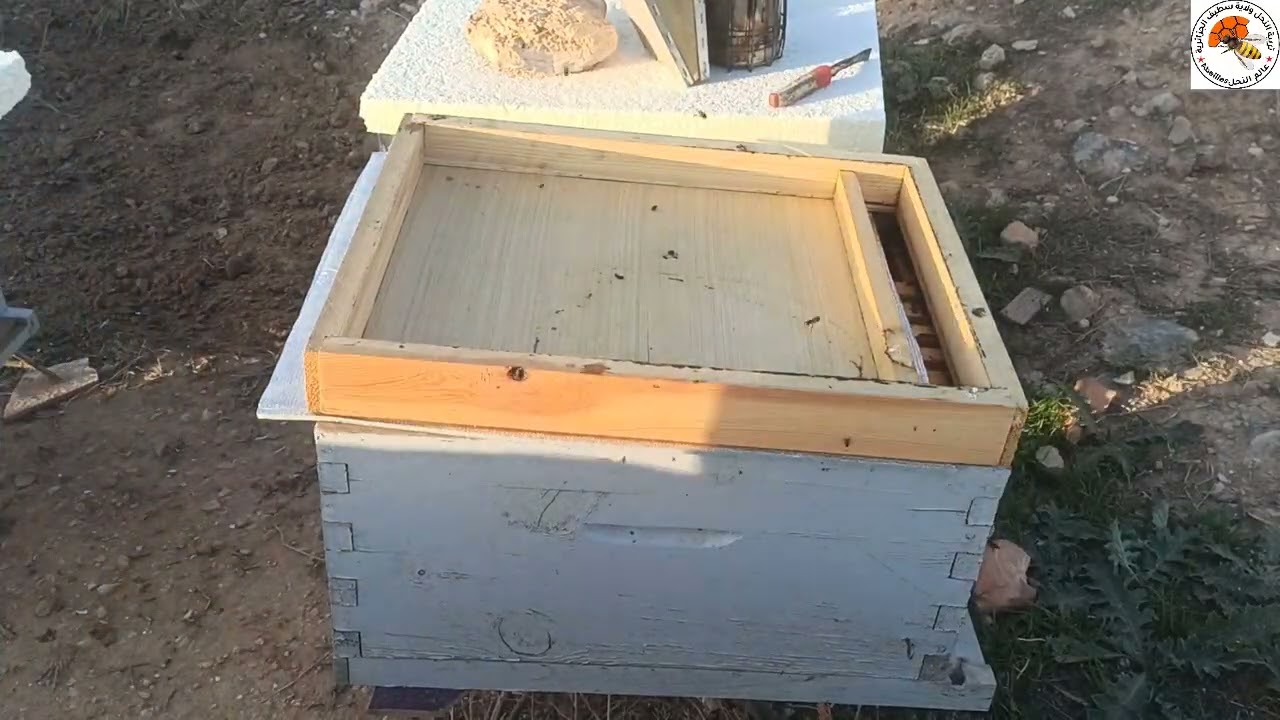 اعمال النحال الشهر العاشر 