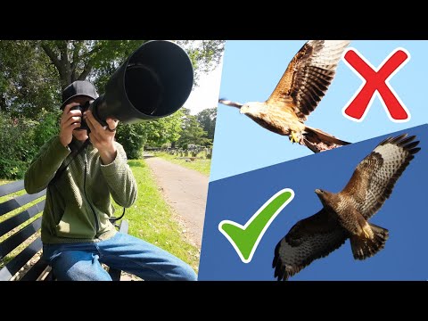 Why Is Photographing Dark Birds So Tricky? Here are some Tips!