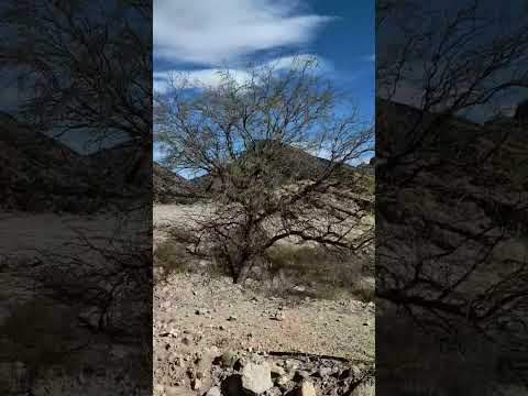 Conoces el camino a las Termas de Villa Vil, Catamarca?? #viajes #montaña #termas #norteargentino