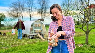 Day in the Life of a Small Homestead (early spring)