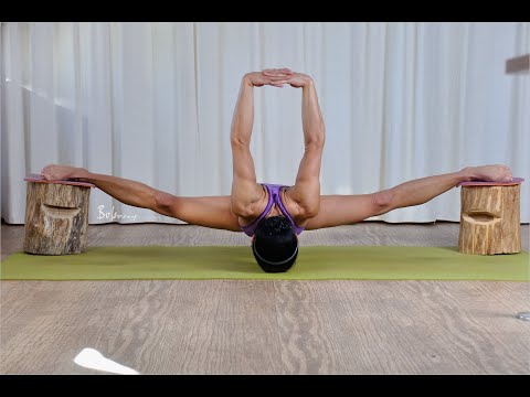 FlexibleForceLyoka200131