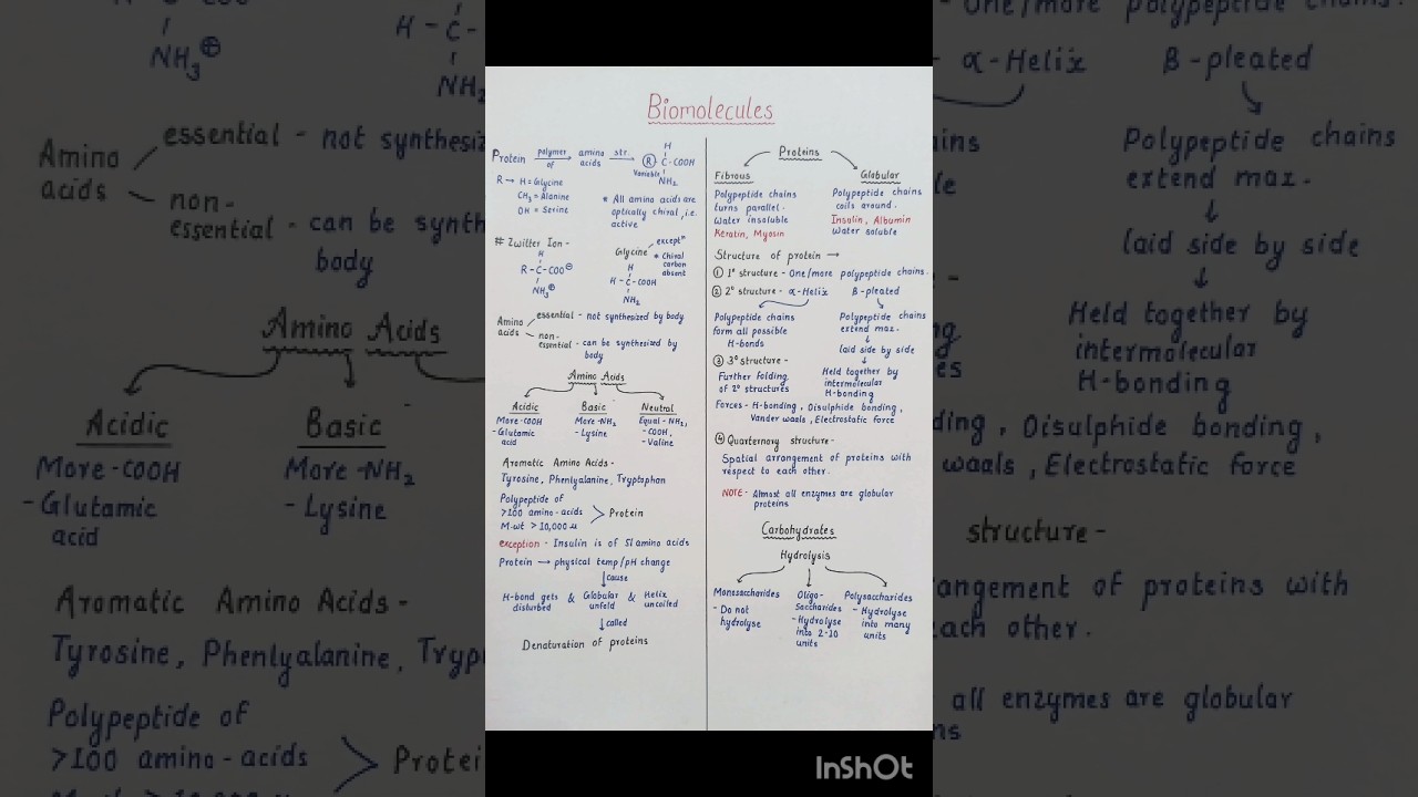 Biomolecules Class 12 Chemistry Short Notes