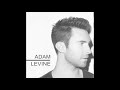 Adam Levine - Stereo Hearts (no rap)