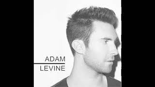 Adam Levine - Stereo Hearts (no rap)