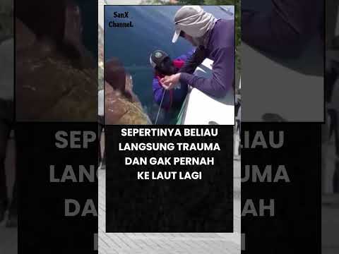 DIPRANK TEMENNYA DI LAUT LANGSUNG TRAUMA