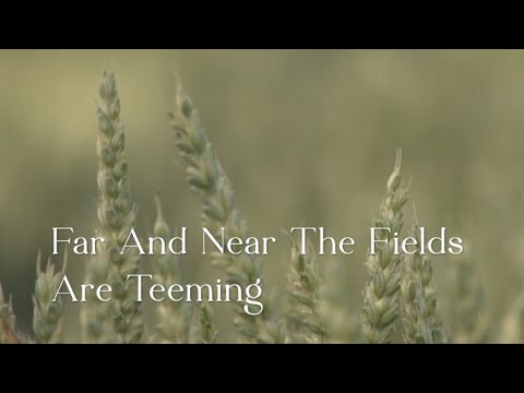 358 SDA Hymnal - Far And Near The Fields Are Teeming (Singing w/ Lyrics)