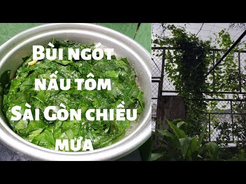 Rau ngổ xào tỏi - Bồ ngót nấu tôm - Sài Gòn chiều mưa - Món ngon nhà làm