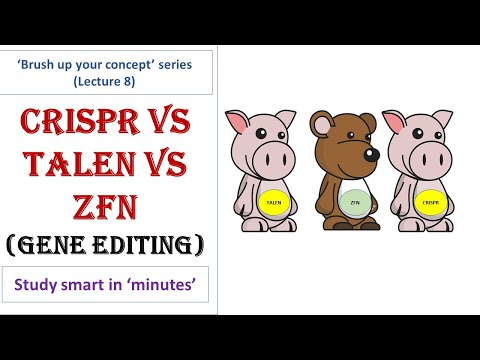 Gene silencing techniques | CRISPR vs TALEN vs ZFN | Genome editing methods | Differences
