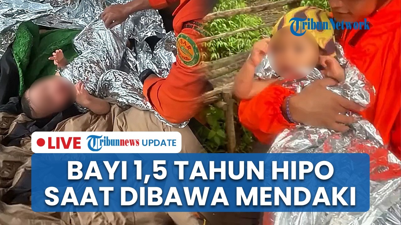 LIVE: Bayi 1,5 Tahun Hipotermia saat Dibawa Mendaki Gunung Ungaran, Orangtua Sempat Diperingatkan
