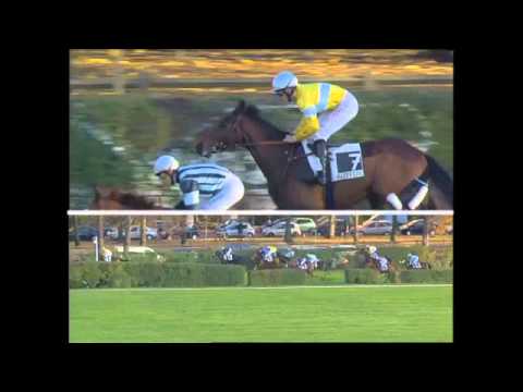 Or Noir De Somoza Race " Prix Renaud Du Vivier " Gr 1 Auteuil - 19/11/2006