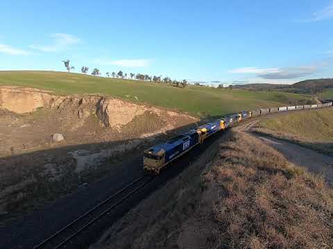 8149, 8238, 51 & 36 at Wilson's Siding NSW.  Tue 11th Aug 2020