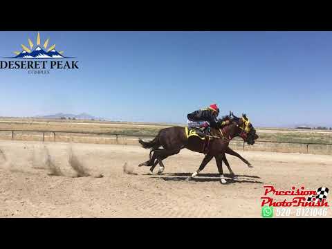 PULMON VS ESPERANZA 250YDS