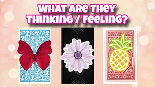 Pick a card: What are they thinking? How do they feel about you? | Timeless Love Tarot Reading