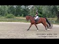 For Pleasure x Numero Uno