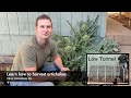 How to Pick Artichokes / DIY PVC Low Tunnel Cover