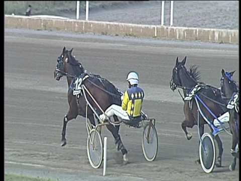 Trotto 14/04/2017 - 6ª corsa