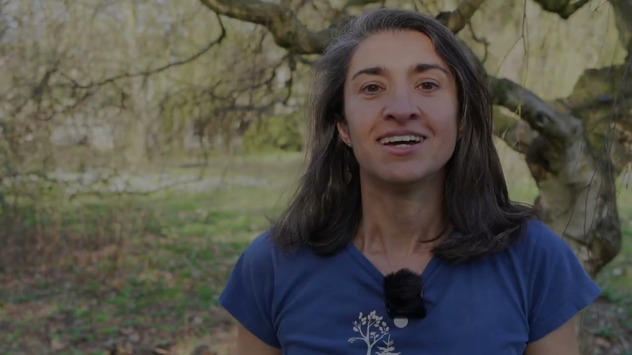Inclusive Citizen Science: four key concepts