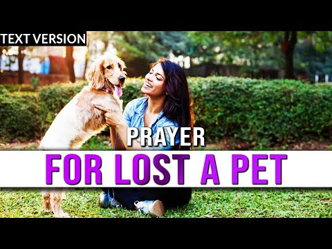 Prayer For Lost Pet | Prayer For A Lost Animal | Prayer For Lost Pet To Return Home - Text Version