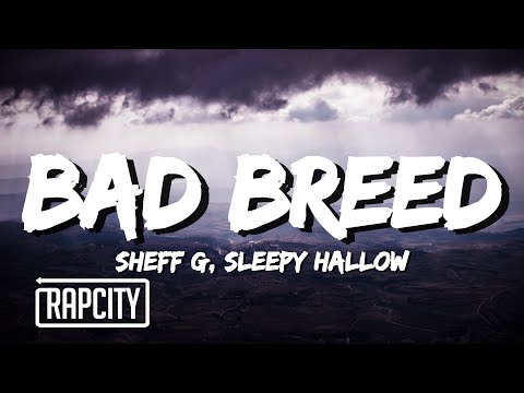 Sheff G - Bad Breed (Lyrics) ft. Sleepy Hallow