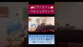 Download lagu ピアノカフェ🎹ベヒシュタインでサン＝サーンスの白鳥を弾いてみました🦢✨ mp3