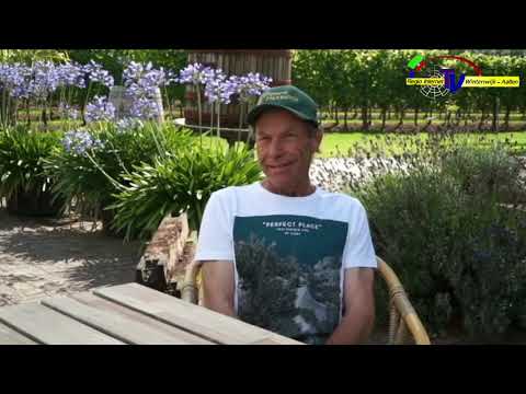 EU maakt wijn uit Winterswijk beschermd streekproduct