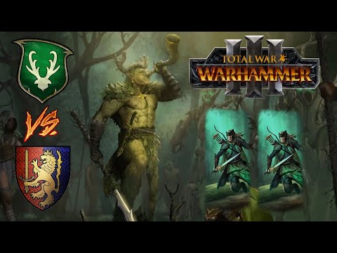 THE KING IN THE WOODS | Wood Elves vs Bretonnia - Total War Warhammer 3