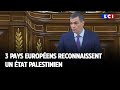 3 pays européens reconnaissent un État palestinien