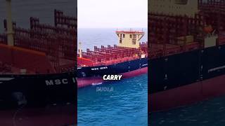 Do you know which is the world's largest container ship?#knowledge #containership