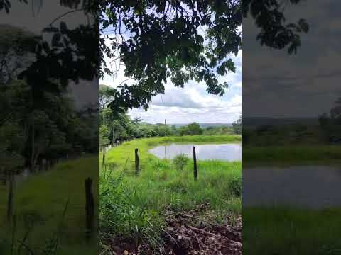 28 de fevereiro de 2026