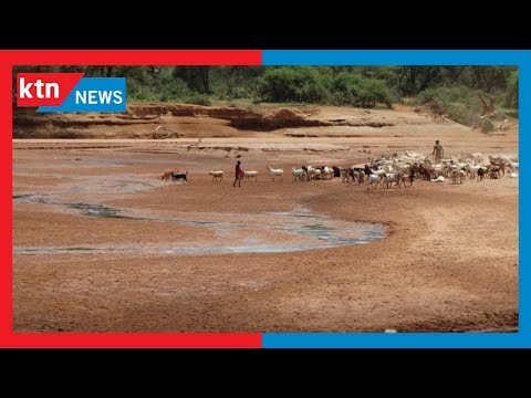 Crisis in Turkana: Pastoralists move to Uganda, Ethiopia searching for pasture and water