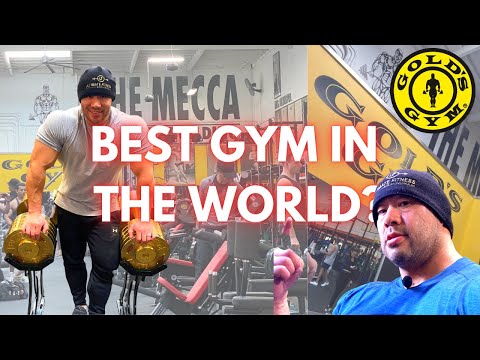 GOLDS GYM VENICE THE "MECCA" OF BODYBUILDING GYM TOUR | BEST GYM SERIES