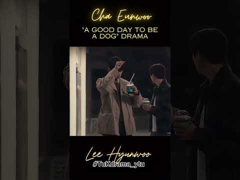 Cuando los celos te agobian😆#agooddaytobeadog #chaeunwoo #leehyunwoo#shorts #KoreanDrama