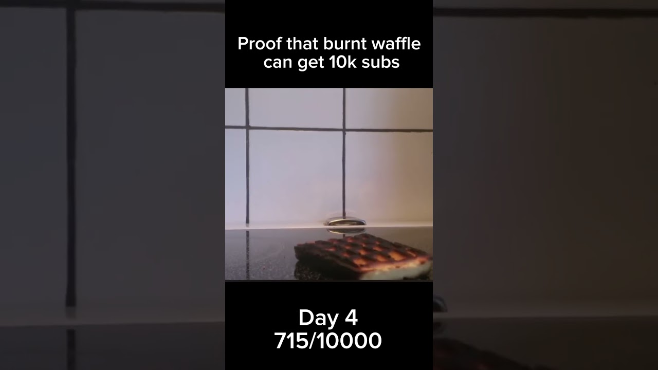 Proof that burnt waffle can get 10k subs Day 4 #memes #shorts #waffle