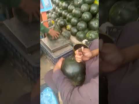 Water Melon Cutting | #shorts#viral #foodshorts 🍉🍉🍉🍉