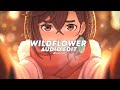 Billie Eilish Wildflower Tiktok Version Edit Audio