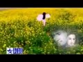 Kis Desh Me Hai Mera Dil Most Popular 1st Promo