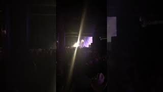 Flatland Cavalry - Honeywine