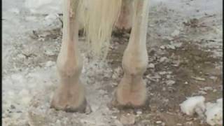 Bound And Determined 1