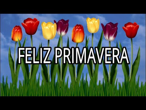 FELIZ DIA DE LA PRIMAVERA /VIDEO CORTO PARA WHATSAPP PRIMAVERA/FELIZ PRIMAVERA/ DIA DE PRIMAVERA