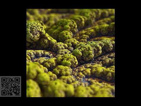 Dark forest Aurabyss  150 bpm forest Dj set  Spring 2019