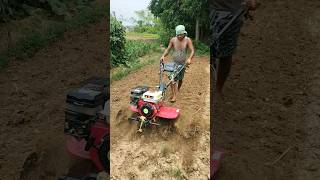 Download lagu 7hp Mini Power Tiller// Mini Power Weeder#ytshorts#shortsfeed#trending#viral@akshayavlogs9892 mp3