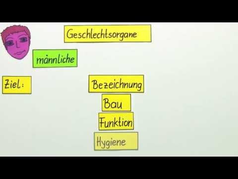 Wund nach dem Sex Prostata Wirksame Behandlung der chronischen Prostatitis Präparate