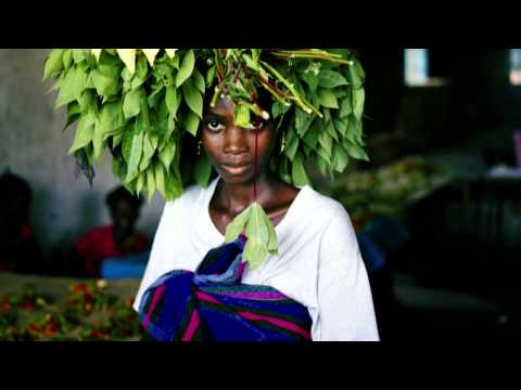 Which Way is the Front Line From Here? (Official Trailer)