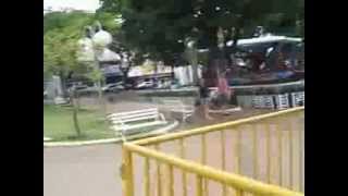 Arvore de Natal Centro Praça Toledo Brarros 2013 Limeira SP Brasil