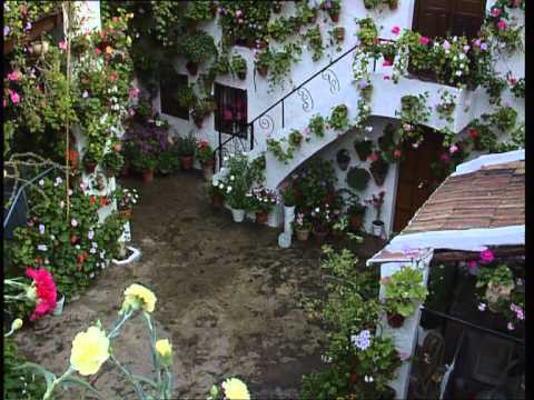 Patios de Córdoba - Patrimonio Inmaterial de la Humanidad
