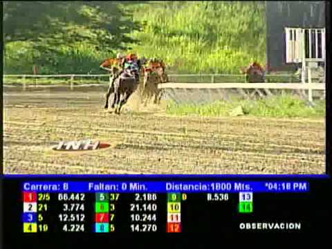 Resumen Domingo, 22 de Septiembre de 2013 - La Rinconada