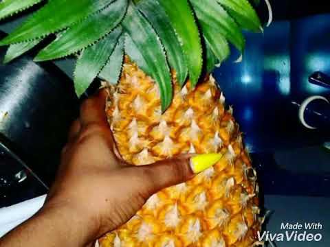 Taprick-Pineapple. 2018