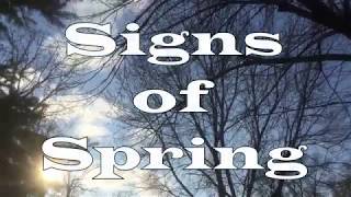 Searching for Signs of Spring 🐸